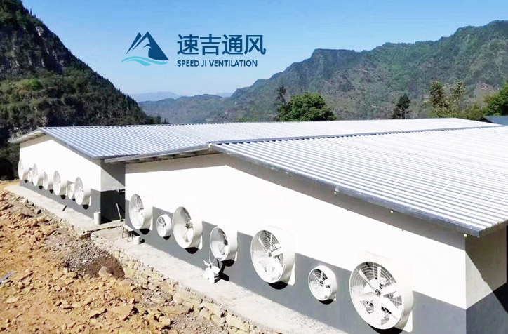 降溫水簾風機設計安裝高度標準和豬場濕簾安裝運用8個誤解 降溫水簾風機設計安裝高度標準和豬場濕簾安裝運用8個誤解