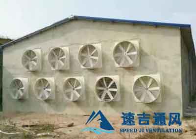養豬廠客戶介紹的負壓風機_玻璃鋼風機噪音小