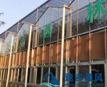 大棚安裝水簾降溫效果圖片 大棚安裝水簾降溫效果圖片