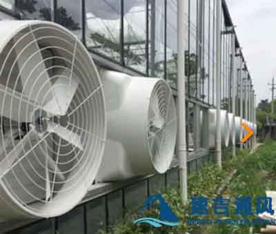 臨沂玻璃鋼負壓風機分辨質量及安裝 臨沂玻璃鋼負壓風機分辨質量及安裝