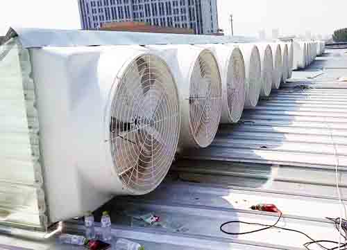 昆山玻璃鋼屋頂排風機 昆山玻璃鋼屋頂排風機