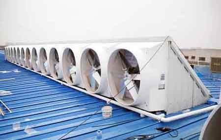 溫州防爆玻璃鋼屋頂風機 溫州防爆玻璃鋼屋頂風機