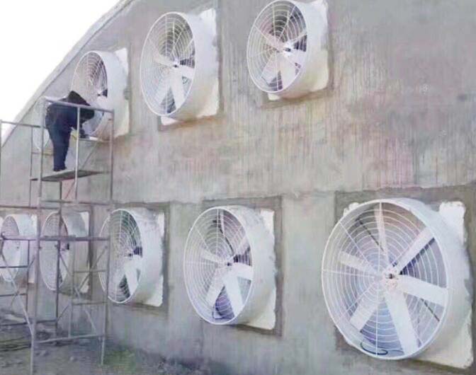 養(yǎng)牛場玻璃鋼負壓風機 養(yǎng)牛場玻璃鋼負壓風機