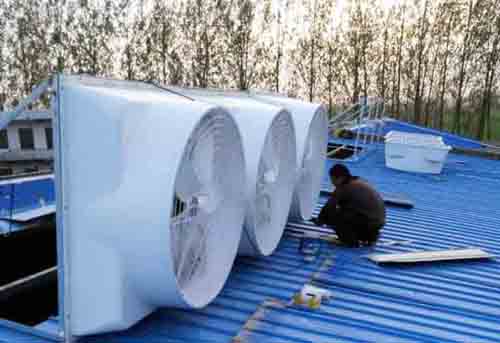 WZT屋頂自然通風器 WZT屋頂自然通風器