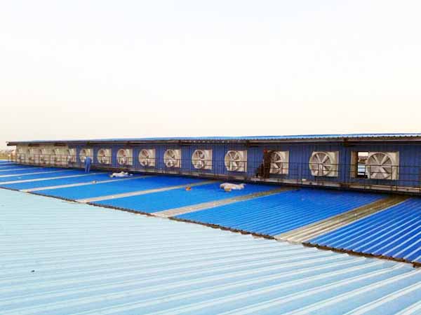 北京屋頂風機葉輪選擇 北京屋頂風機葉輪選擇