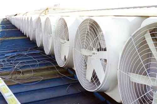 檢查風(fēng)機(jī)的電機(jī)運(yùn)行 檢查風(fēng)機(jī)的電機(jī)運(yùn)行