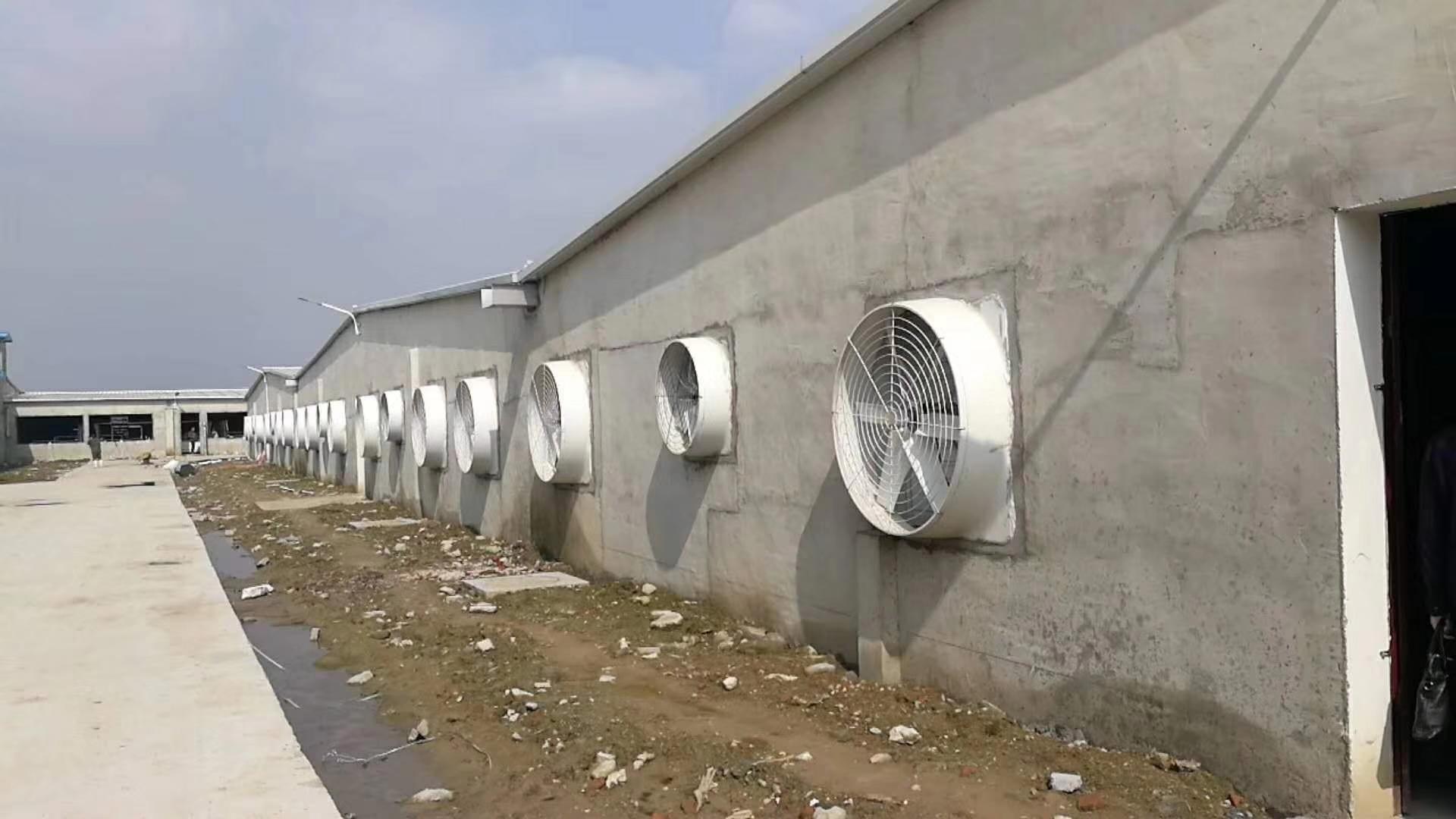 壽光節(jié)能負(fù)壓風(fēng)機(jī) 壽光節(jié)能負(fù)壓風(fēng)機(jī)