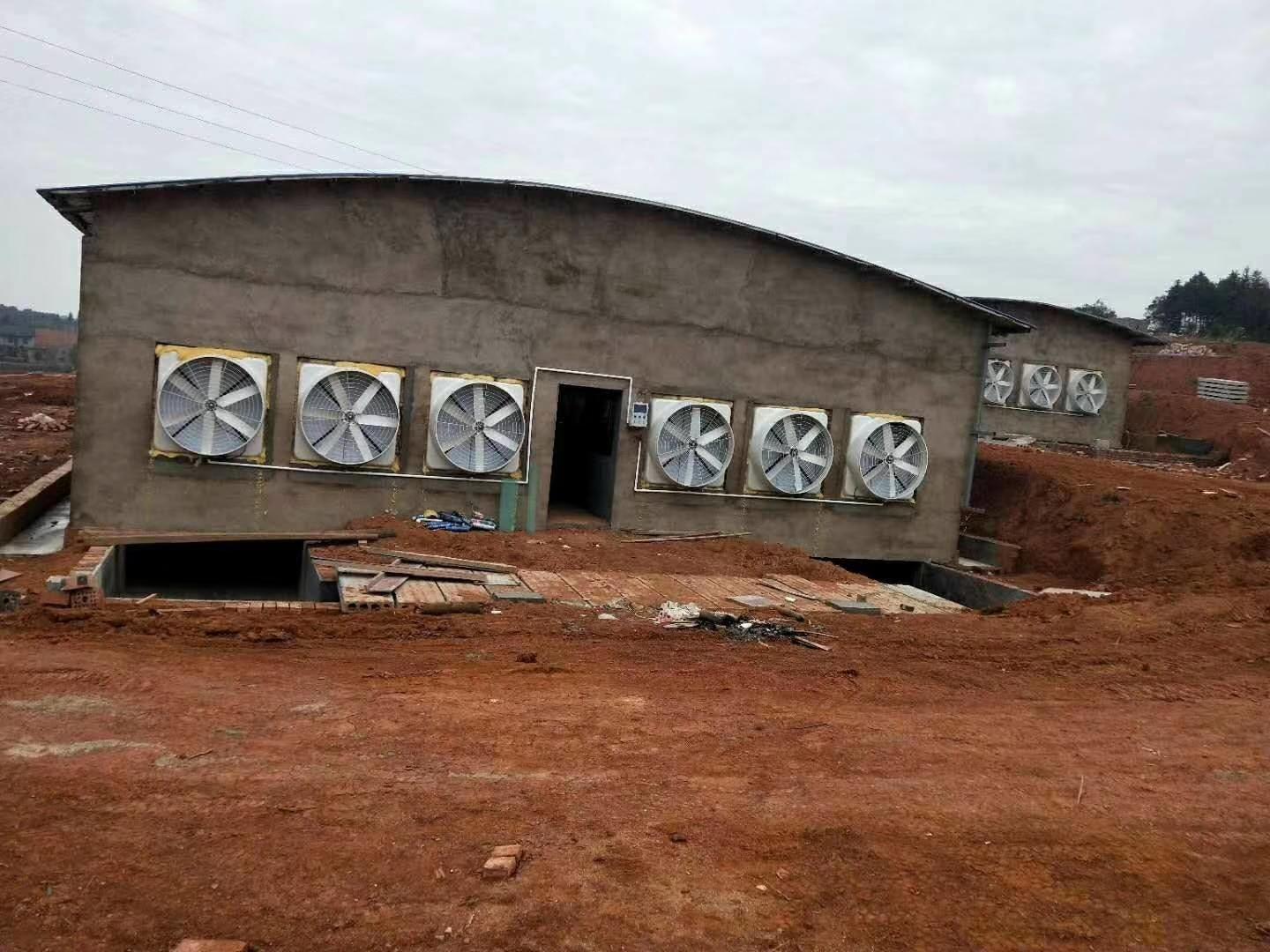 負壓鼓風機 負壓鼓風機