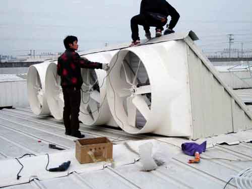 青島負(fù)壓風(fēng)機(jī)安裝屋頂風(fēng)機(jī)施工中 青島負(fù)壓風(fēng)機(jī)安裝屋頂風(fēng)機(jī)施工中