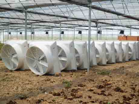 負(fù)壓風(fēng)機(jī)保存 負(fù)壓風(fēng)機(jī)保存