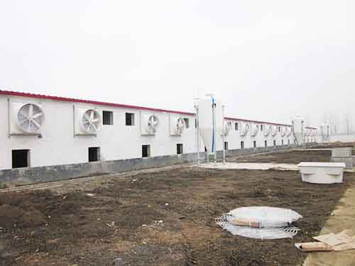 膠州負壓風機噪音 膠州負壓風機噪音