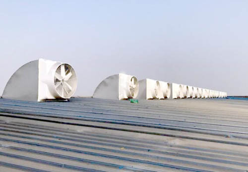 馬鞍山屋頂排煙風機 馬鞍山屋頂排煙風機