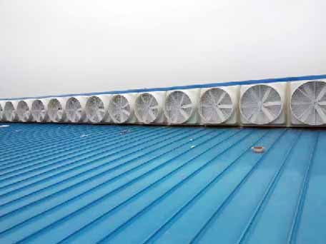 蕪湖屋頂排煙風機 蕪湖屋頂排煙風機